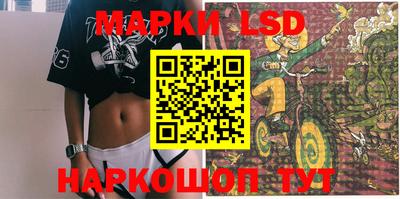 стаф Будённовск