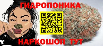 мяу мяу мука Волжск