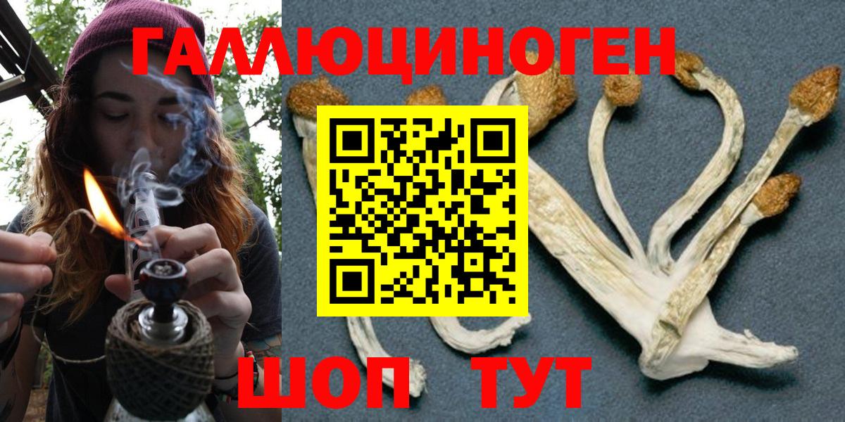 Псилоцибиновые грибы GOLDEN TEACHER  Псилоцибиновые грибы прущие грибы  Электросталь  Вход с VPN 