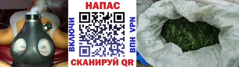 сайты даркнета как зайти  Электросталь  Конопля сатива 